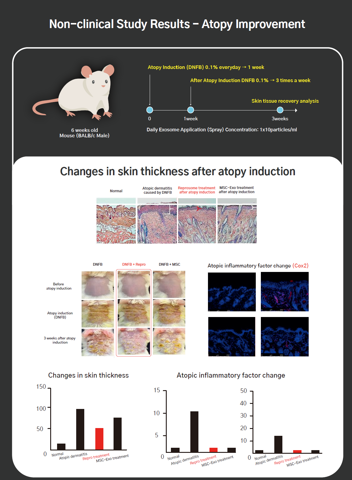 Exosome (2vials in 1 set) _2XSOME - Image 9