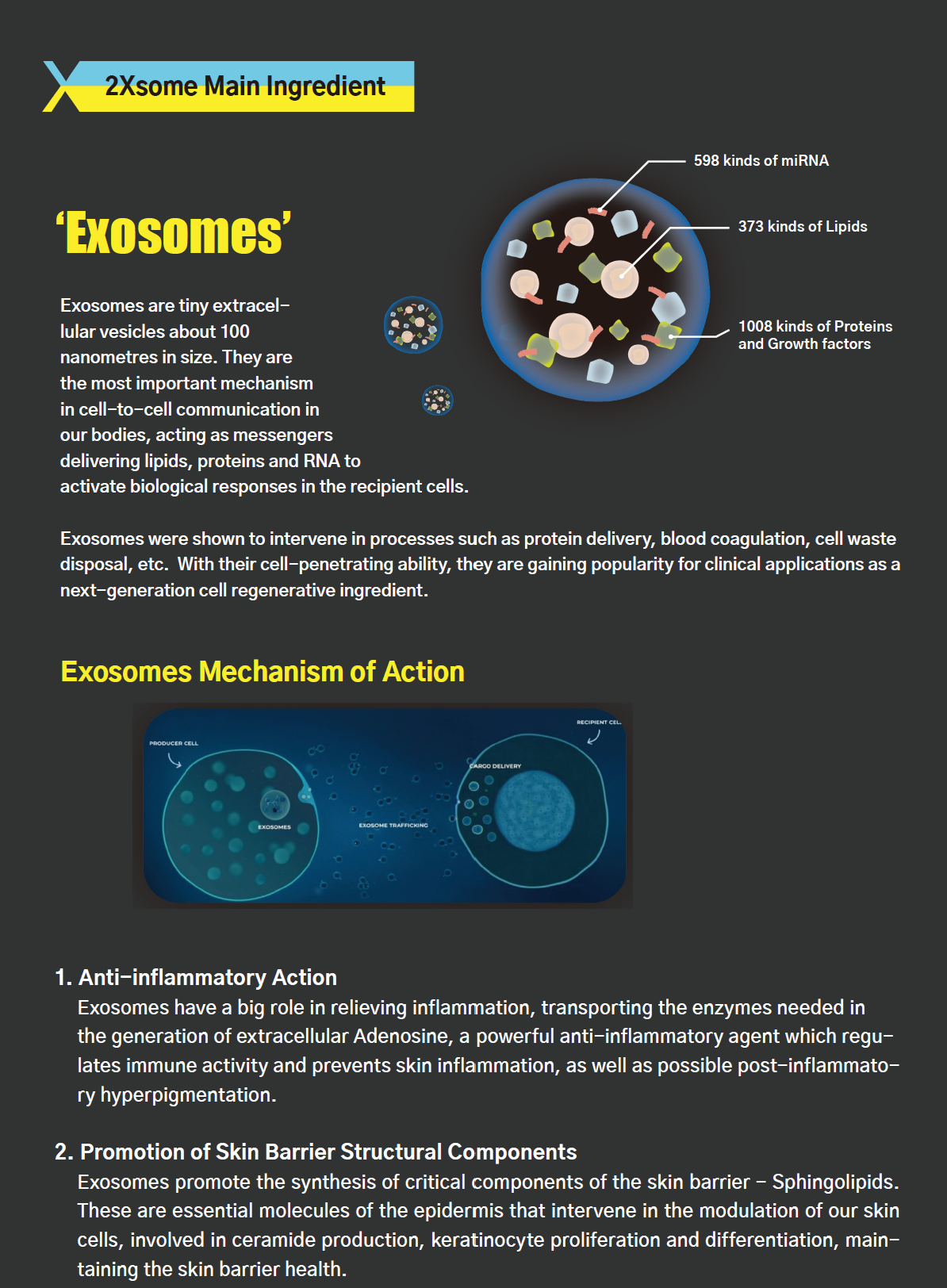 Exosome (2vials in 1 set) _2XSOME - Image 7